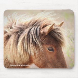 Assateague Vild Horse Musmatta