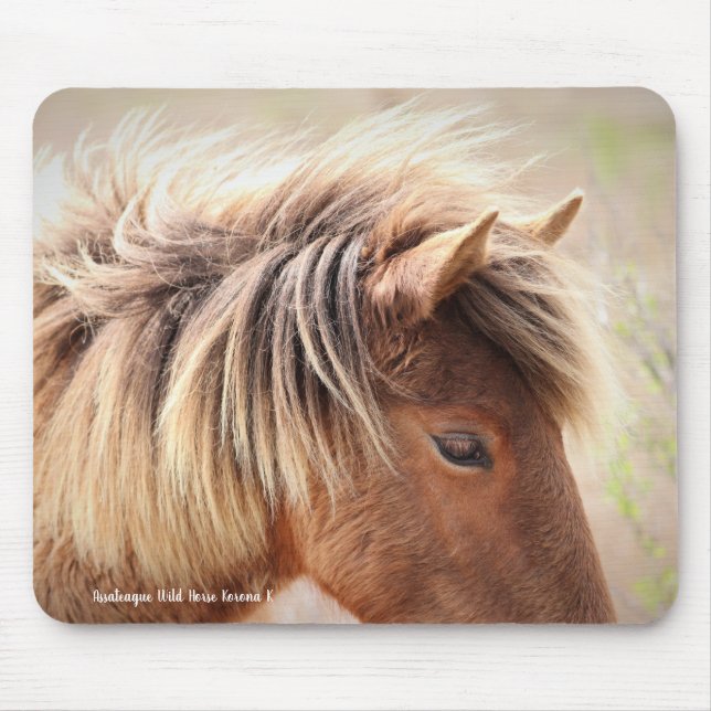 Assateague Vild Horse Musmatta (Framsidan)
