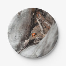 Assiette de carton photo d'une coccinelle