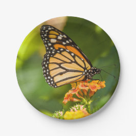 assiette en carton photo papillon sur une fleur