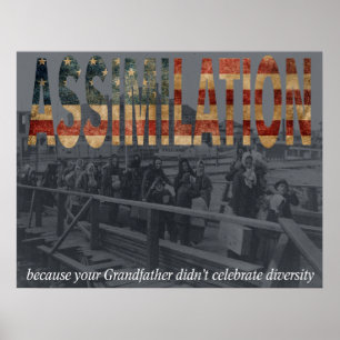 Assimilering Poster