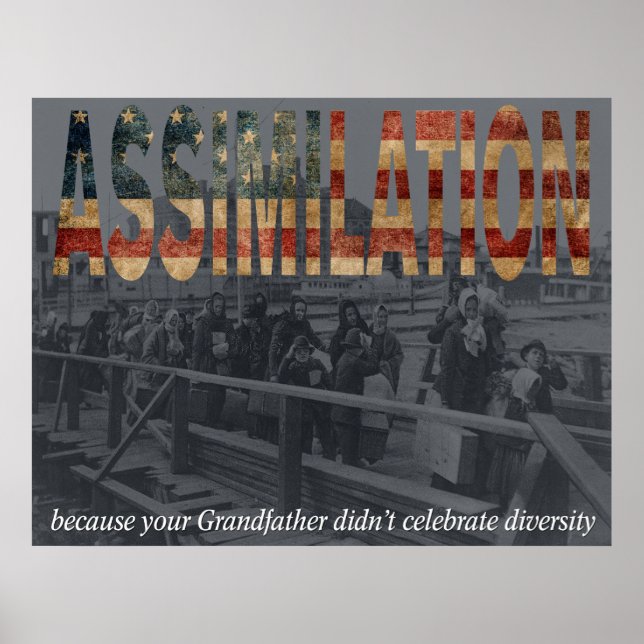 Assimilering Poster (Framsidan)