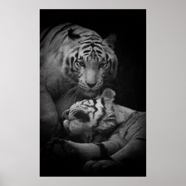 Assistans som krävs Poster (Framsidan)