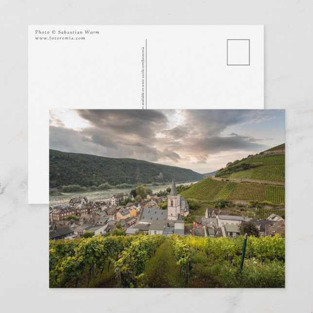 Assmannshausen Vykort (Fram/baksida)