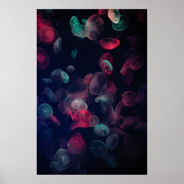 ASSORTED-FÄRG JELLYFISH PAINTING POSTER (Framsidan)