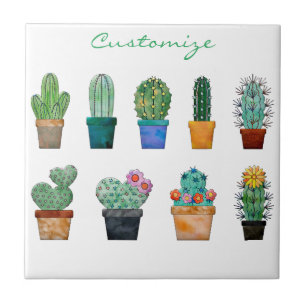 Assorterade Cactus Plants Turtle Thunder_Cove Kakelplatta