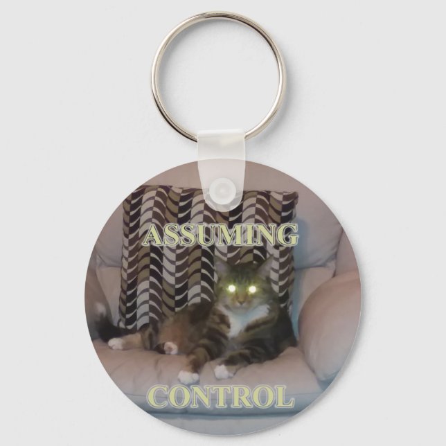 Assuming Control cat keychain Nyckelring (Framsida)