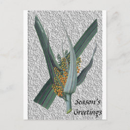 Astelia Nervosa Vykort