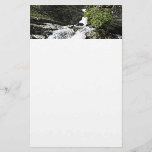 Aster Creek vid Glacier National Park Brevpapper (Framsida)