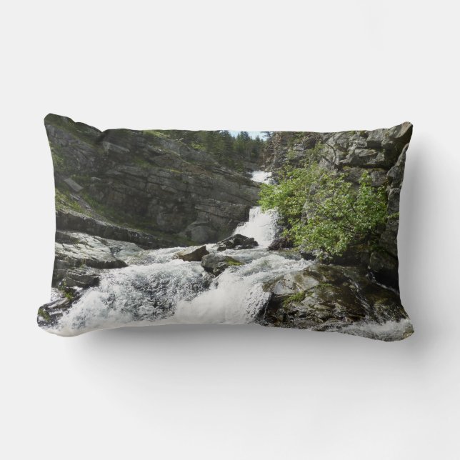 Aster Creek vid Glacier National Park Lumbarkudde (Framsida)