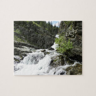 Aster Creek vid Glacier National Park Pussel
