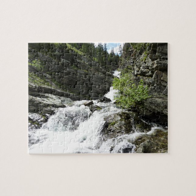 Aster Creek vid Glacier National Park Pussel (Horisontell)