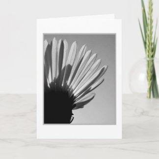 ASTER: En dye faller. . Kort