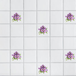 Aster Kakelplatta
