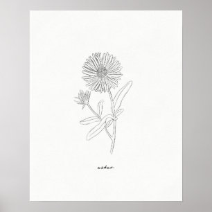 Aster Line Teckning Print - Handdragen blomma från Poster