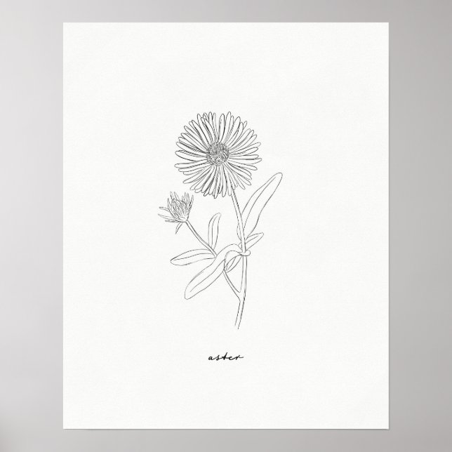 Aster Line Teckning Print - Handdragen blomma från Poster (Framsidan)