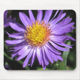 Aster Mousepad Musmatta