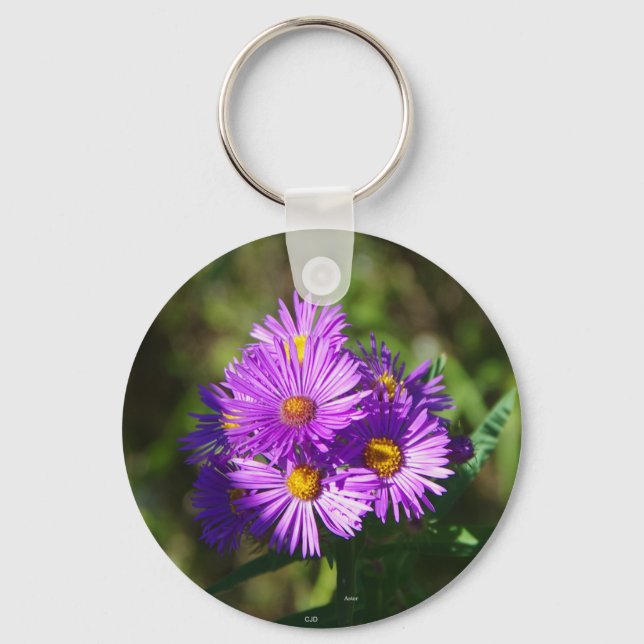 Aster nyckelring (Framsida)
