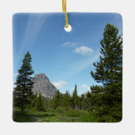 Aster Park Trail i Glacier National Park Julgransprydnad Keramik