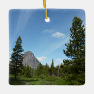Aster Park Trail i Glacier National Park Julgransprydnad Keramik