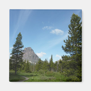 Aster Park Trail i Glacier National Park Magnet