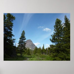 Aster Park Trail i Glacier National Park Poster