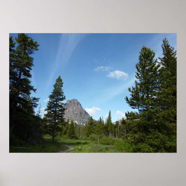 Aster Park Trail i Glacier National Park Poster (Framsidan)