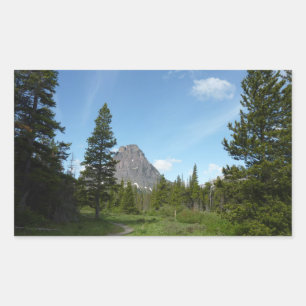 Aster Park Trail i Glacier National Park Rektangulärt Klistermärke
