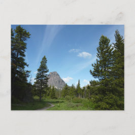 Aster Park Trail i Glacier National Park Vykort