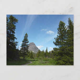 Aster Park Trail i Glacier National Park Vykort