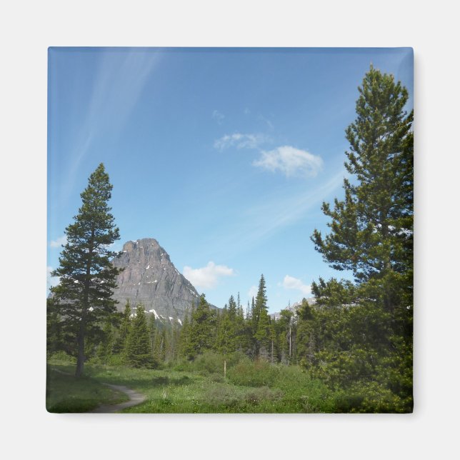 Aster Park Trail vid Glacier nationalpark Magnet (Framsidan)