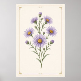 Aster, september födelsedagsblomma väggkonsttryck poster