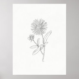 Aster Sketch-utskrift Poster