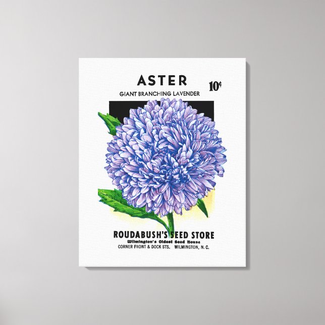 Aster Vintage Seed Packet Canvastryck (Framsida)