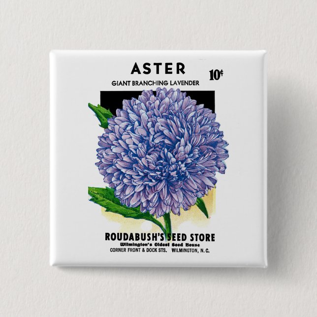 Aster Vintage Seed Packet Knapp (Framsida)