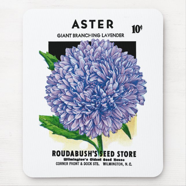 Aster Vintage Seed Packet Musmatta (Framsidan)
