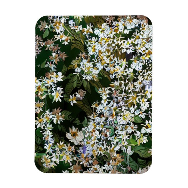 ASTERBLOMMOR MAGNET (Vertikal)