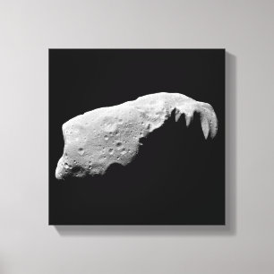 Asteroid 243 Ida Canvastryck