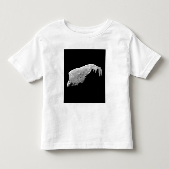 Asteroid 243 Ida T-shirt (Framsida)