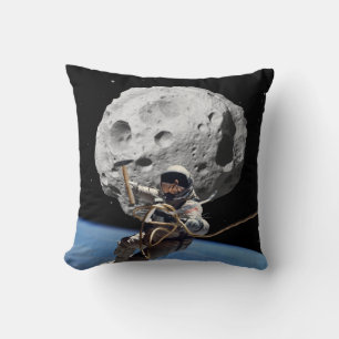 Asteroid Miner Kudde