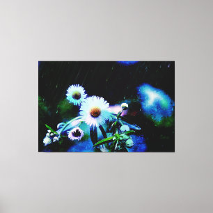 Asters Aglow Wrapped Canvas-utskrifter Canvastryck