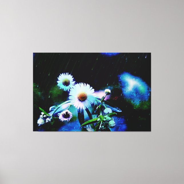 Asters Aglow Wrapped Canvas-utskrifter Canvastryck (Framsida)