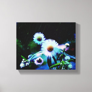 Asters Aglow Wrapped Canvas-utskrifter Canvastryck