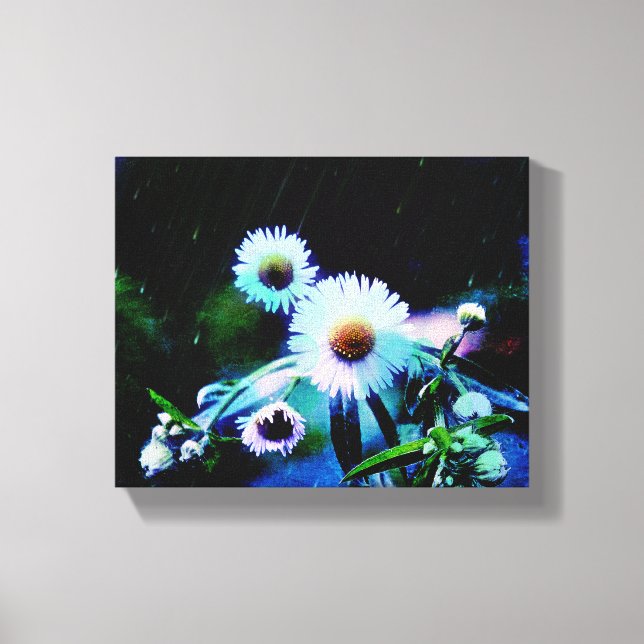 Asters Aglow Wrapped Canvas-utskrifter Canvastryck (Framsida)