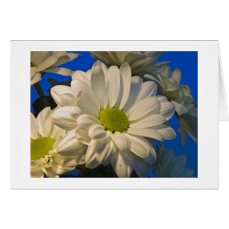 Asters Hälsningskort