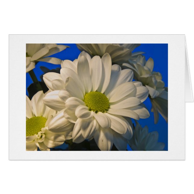 Asters Hälsningskort (Framsidan Horizontal)