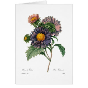 Asters Hälsningskort