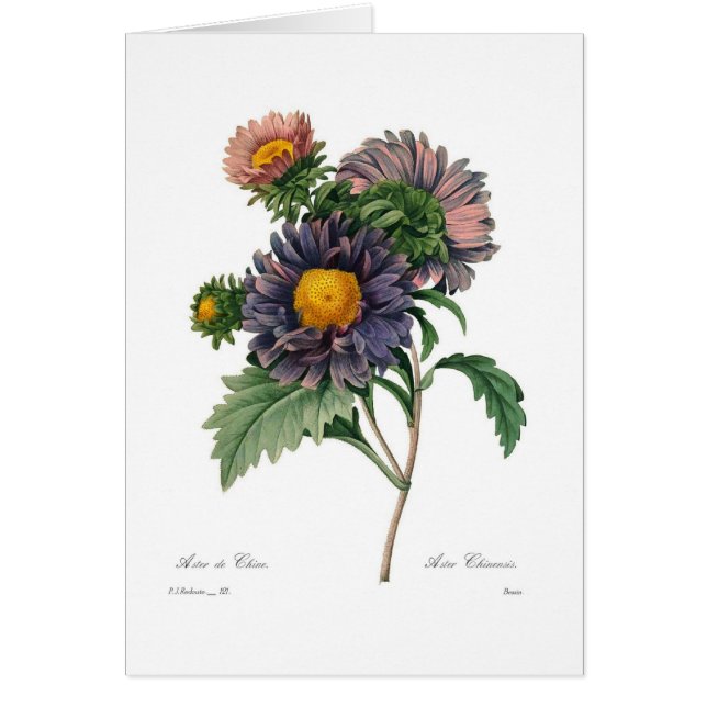 Asters Hälsningskort (Framsidan)