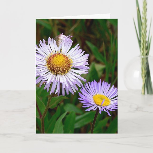 Asters Helgkort (Framsida)