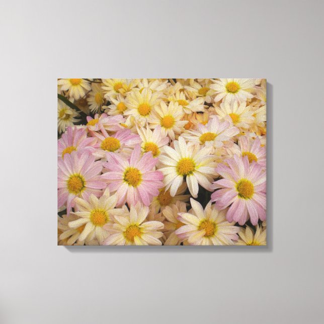 Asters på arbetsyta med insvälld arbetsyta canvastryck (Framsida)